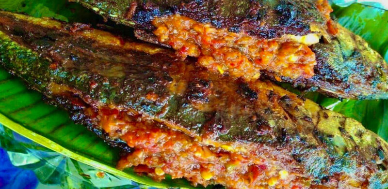 Kecur melihatnya! Resipi ikan cencaru sumbat sambal Portugis mudah, menyelerakan